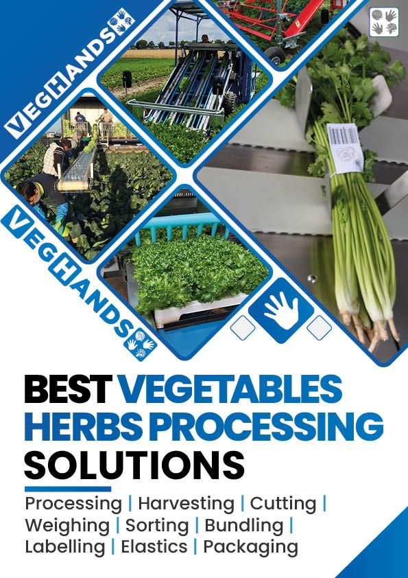 Processing solutions for vegetables & Herbs